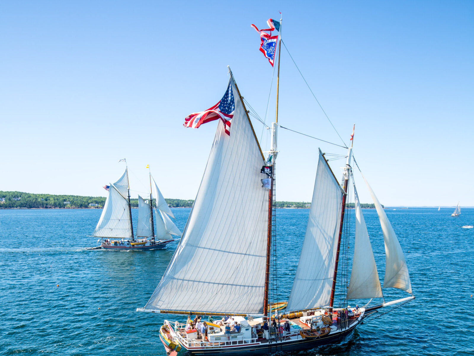 Home Great Schooner Race